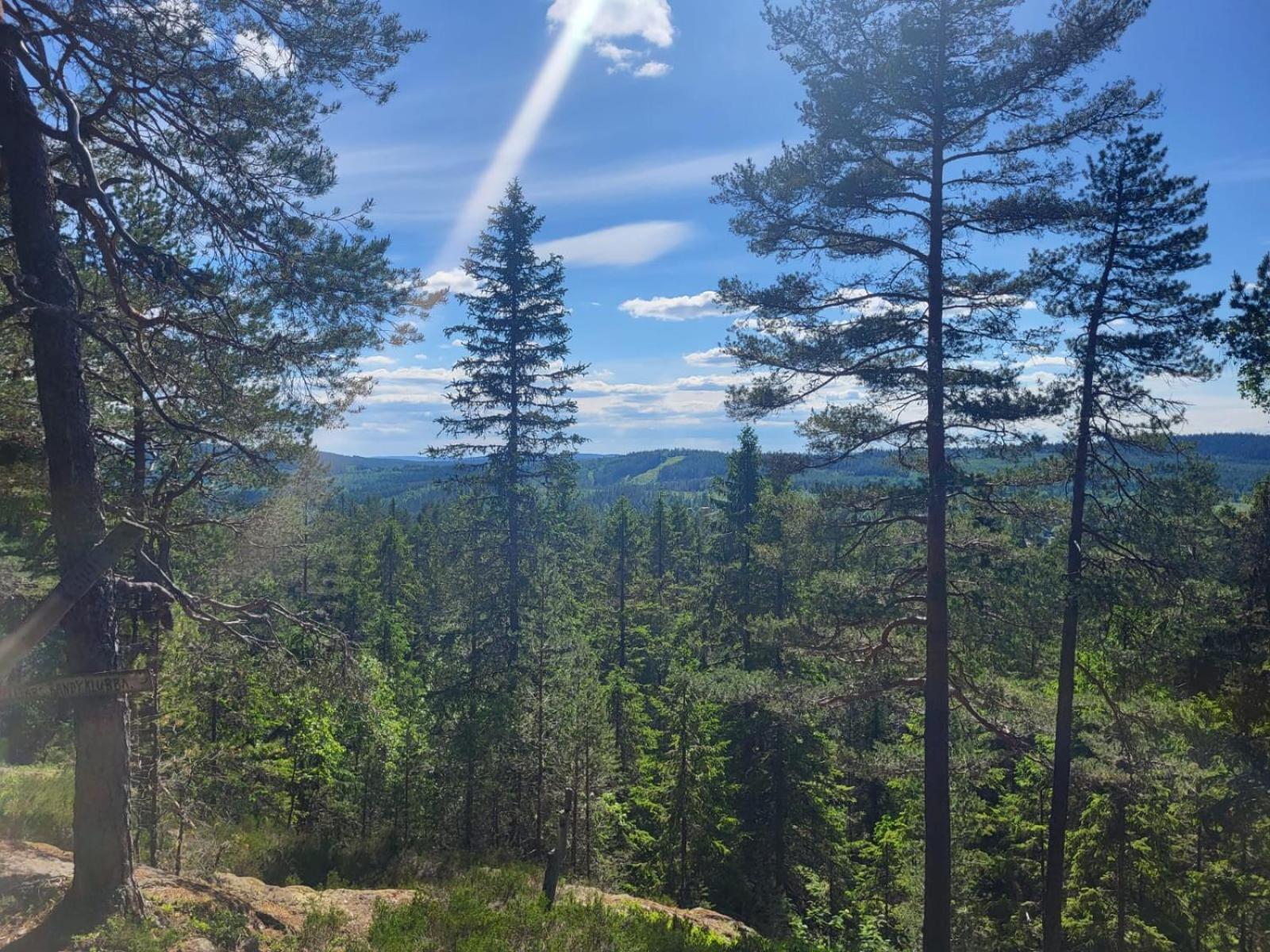 Puur-Joanna Retreats En B&B Hoje Dış mekan fotoğraf